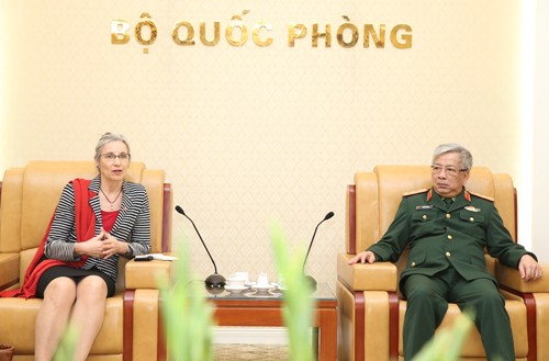 Vietnam-Pays-Bas : coopération dans le maintien de la paix - ảnh 1